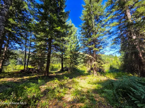 NNA Pup Paw 10 acres