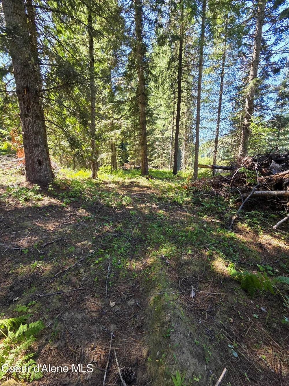 NNA Pup Paw 10 acres Priest River, ID 83856