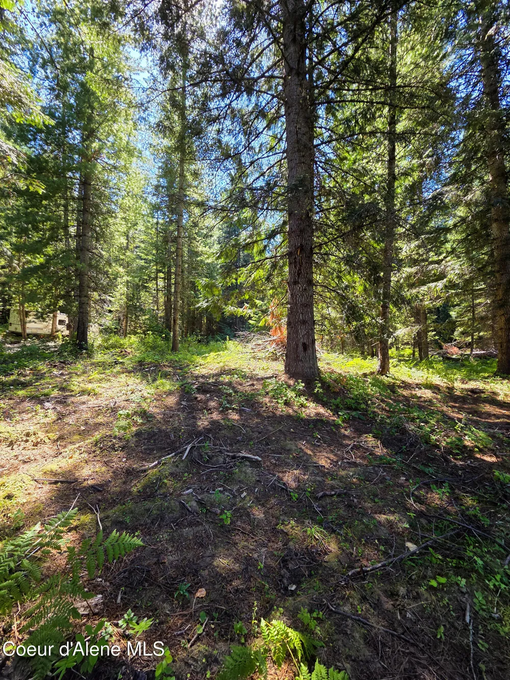 NNA Pup Paw 10 acres Priest River, ID 83856