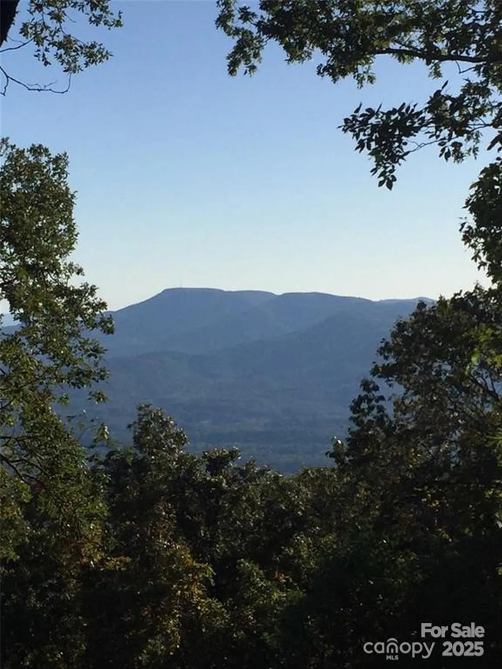 00 Morning Ride Drive #38 Columbus, NC 28722