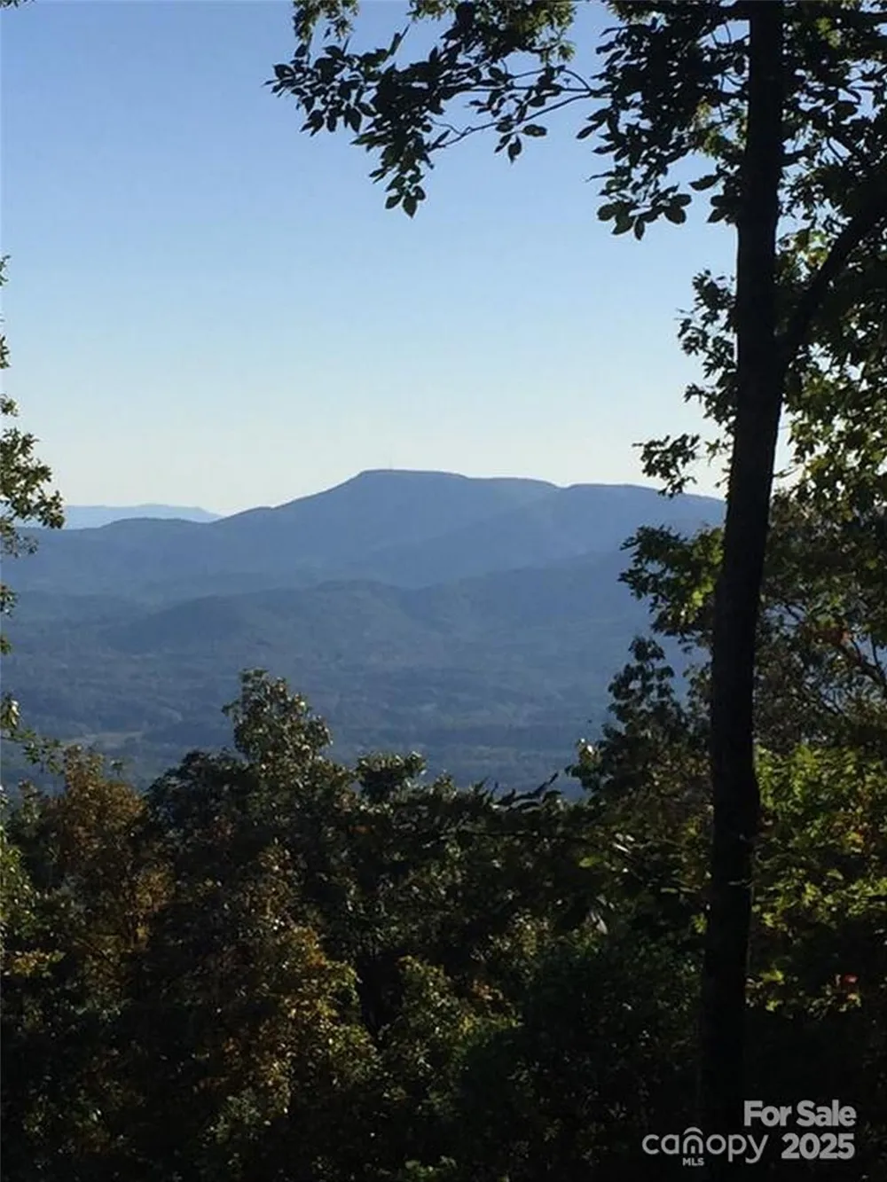 00 Morning Ride Drive #38 Columbus, NC 28722