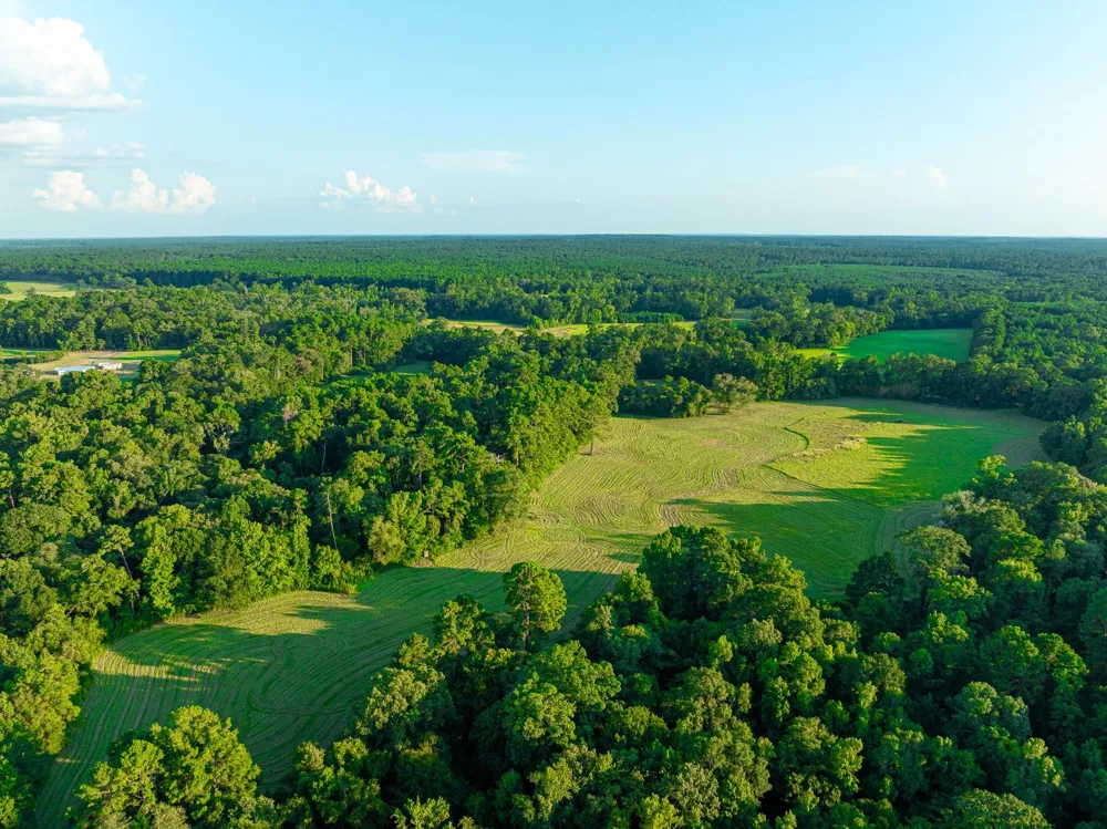5819 County Road 1170 Kennard, TX 75925