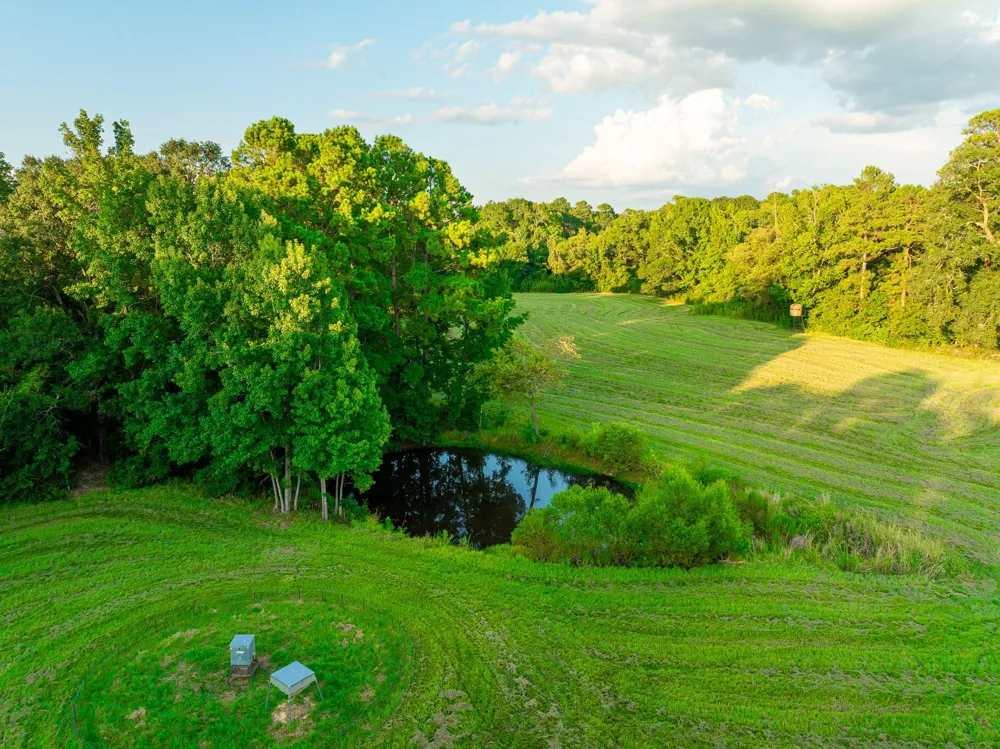 5819 County Road 1170 Kennard, TX 75925