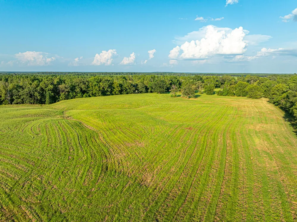 5819 County Road 1170 Kennard, TX 75925