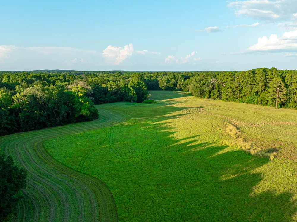 5819 County Road 1170 Kennard, TX 75925