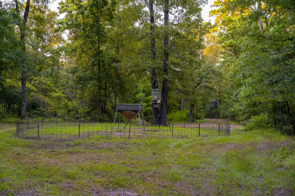 5819 County Road 1170 Kennard, TX 75925