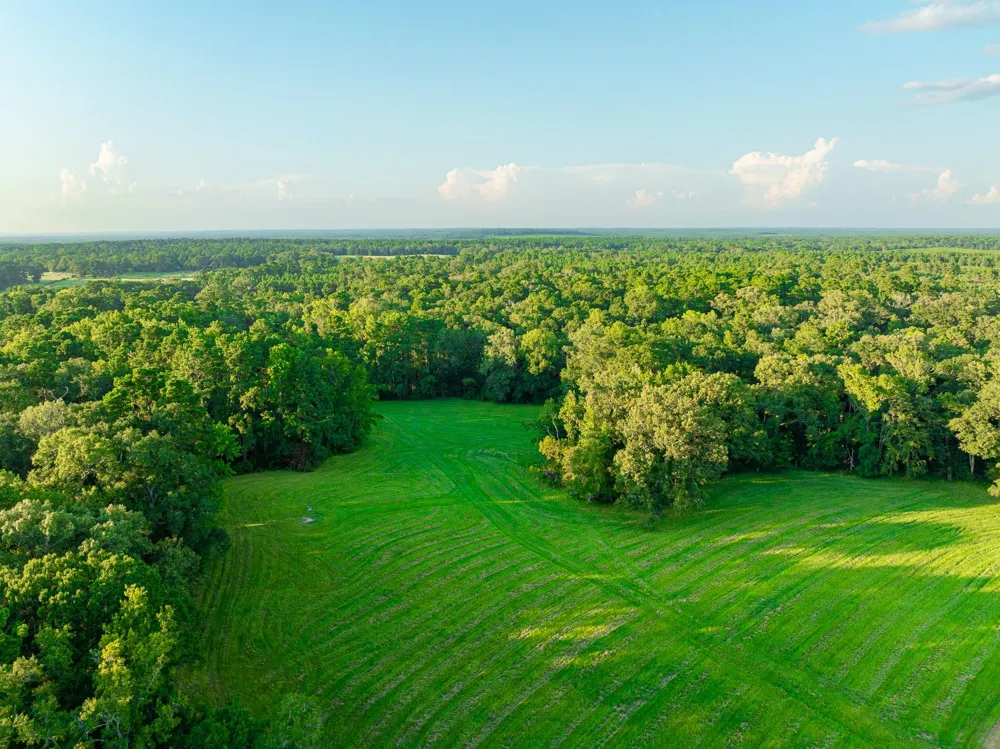 5819 County Road 1170 Kennard, TX 75925