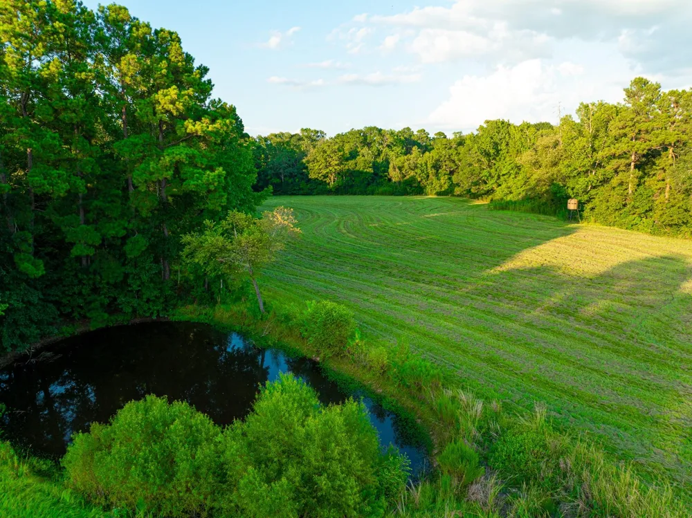 5819 County Road 1170 Kennard, TX 75925