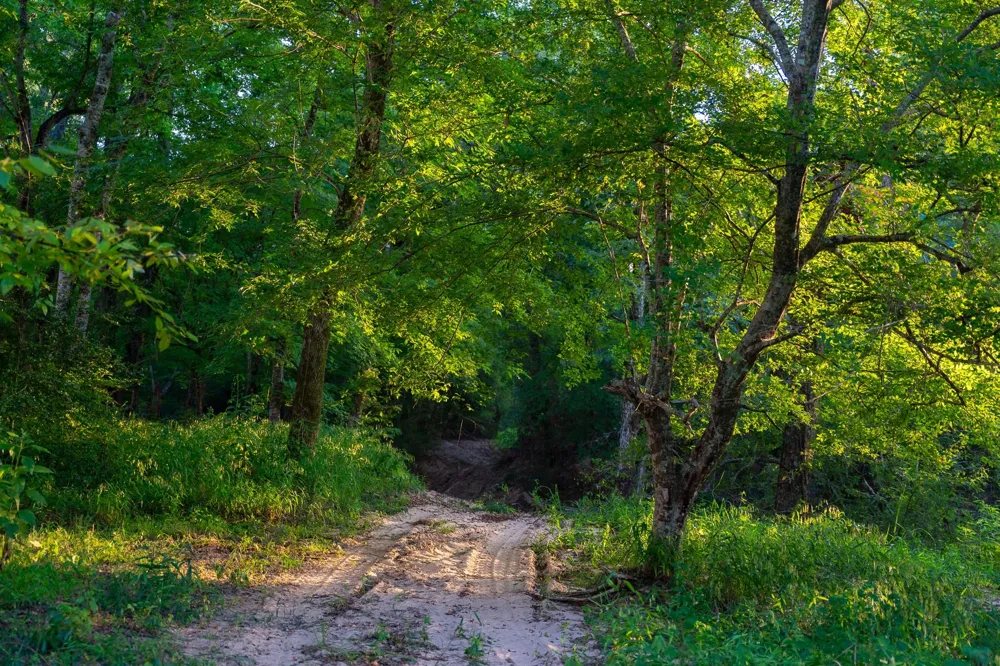 5819 County Road 1170 Kennard, TX 75925
