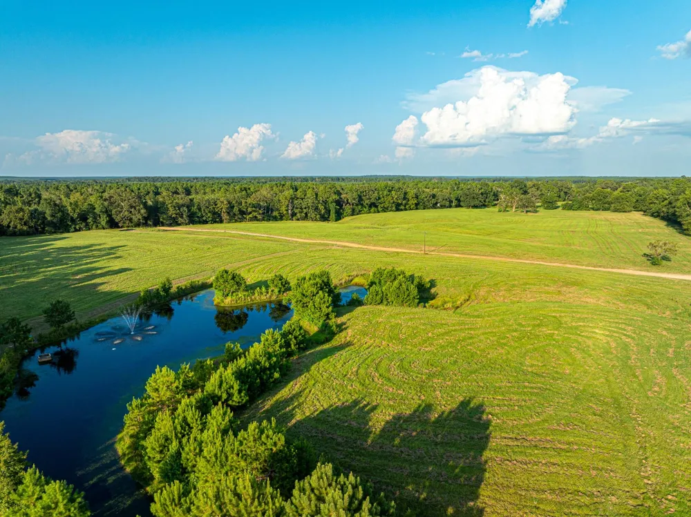 5819 County Road 1170 Kennard, TX 75925