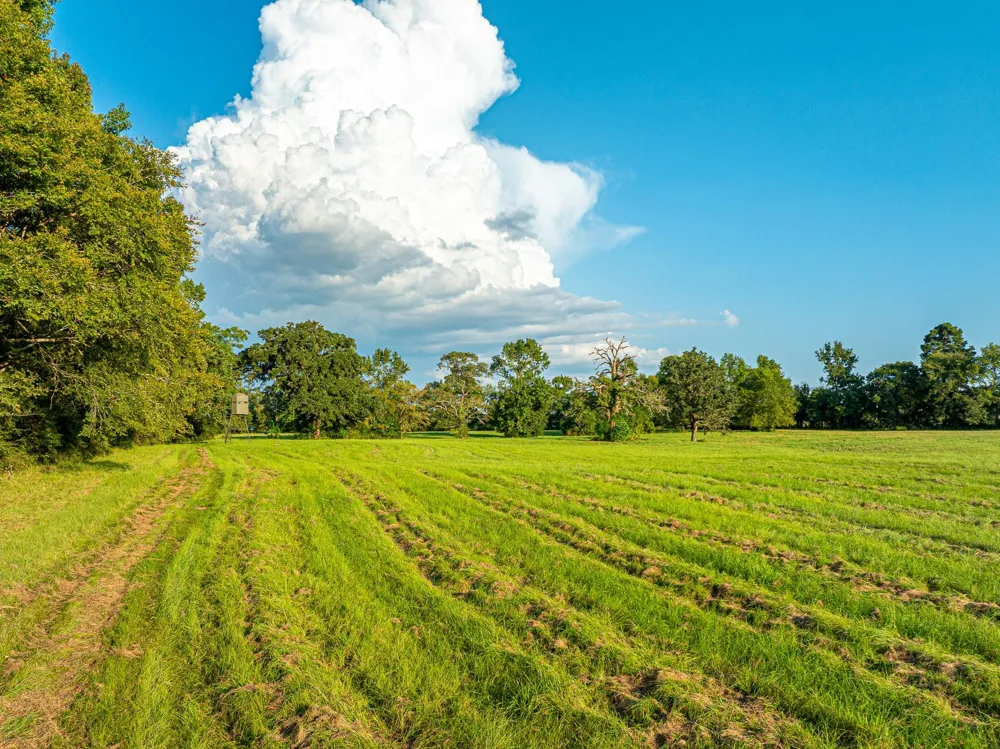 5819 County Road 1170 Kennard, TX 75925
