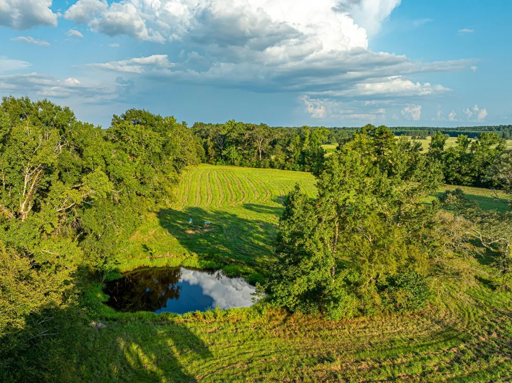 5819 County Road 1170 Kennard, TX 75925