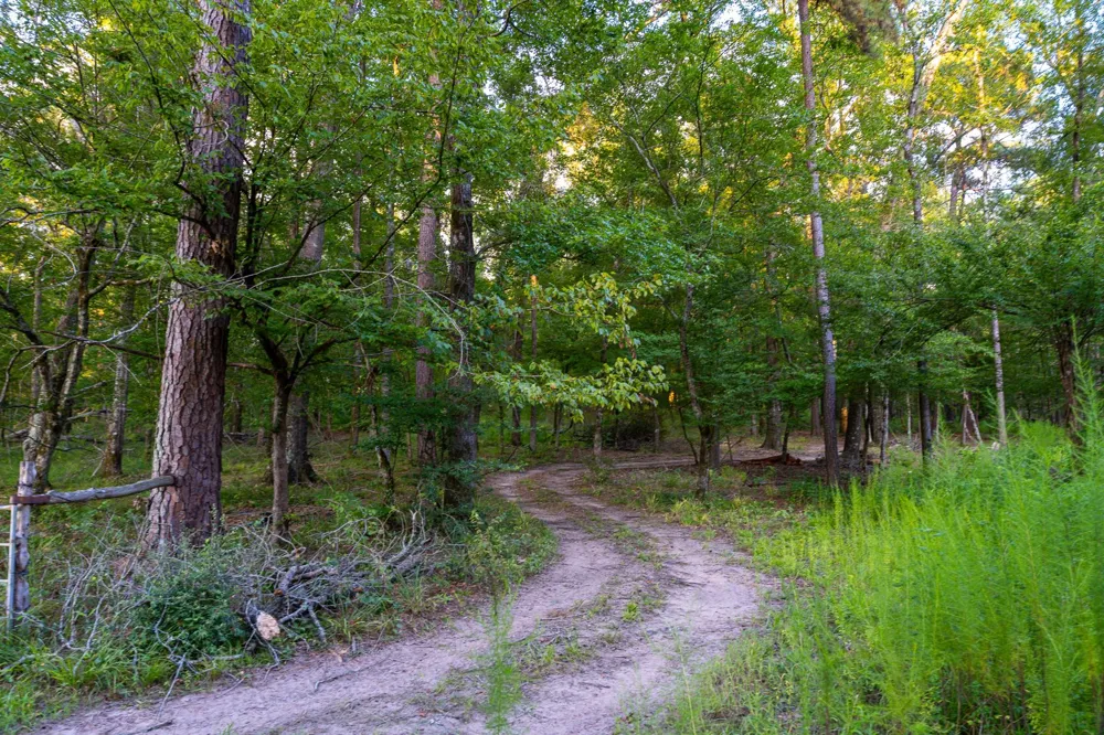 5819 County Road 1170 Kennard, TX 75925