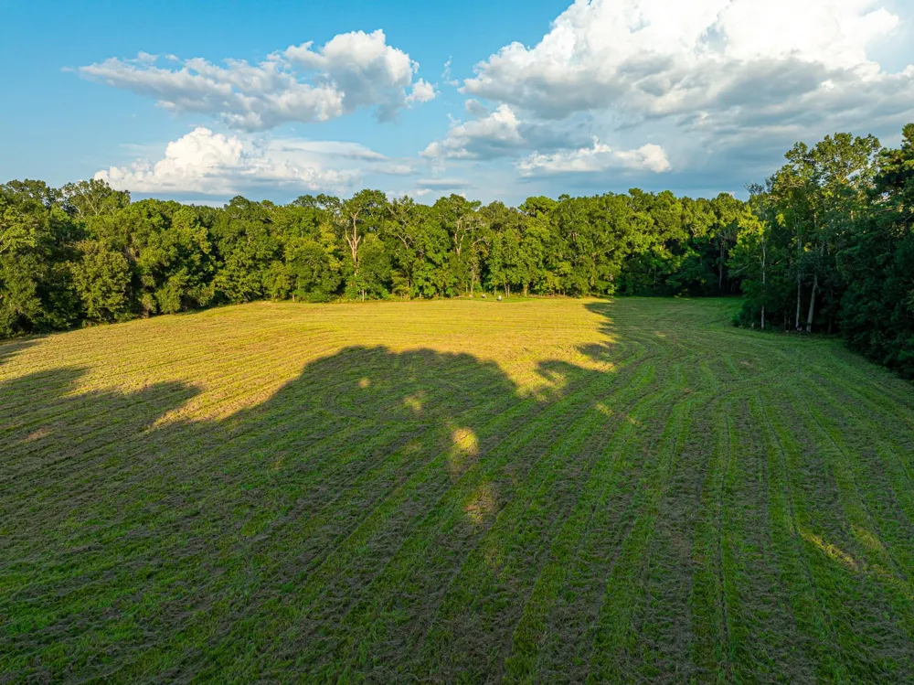 5819 County Road 1170 Kennard, TX 75925