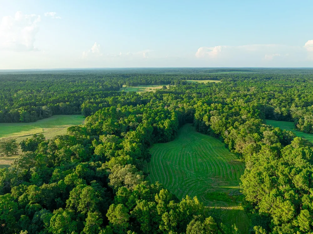 5819 County Road 1170 Kennard, TX 75925