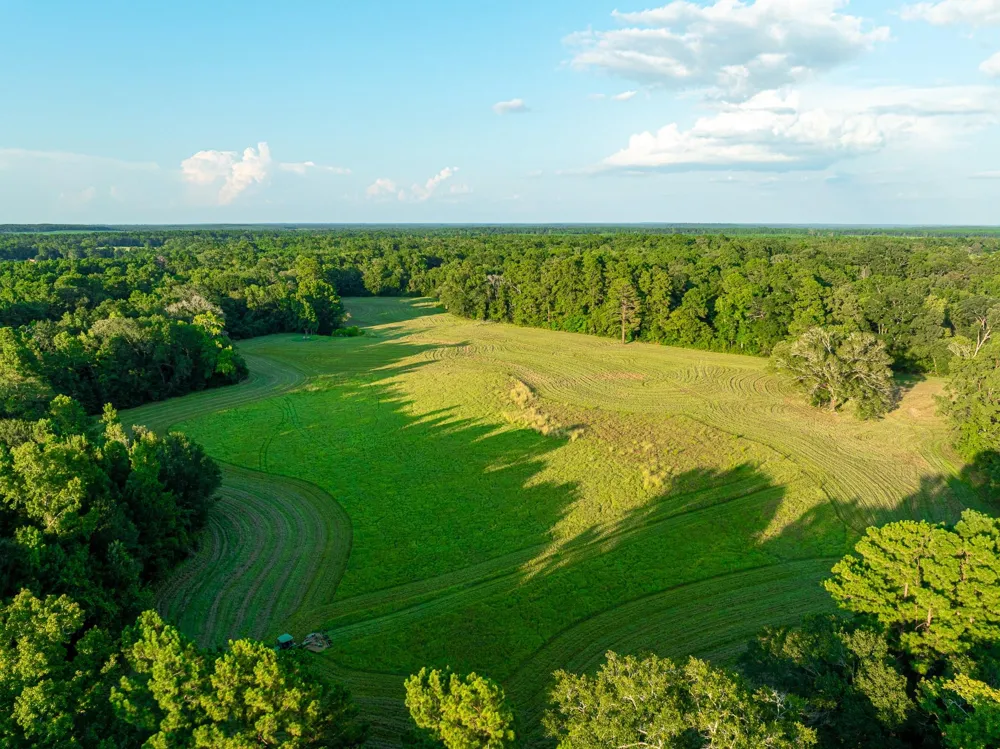 5819 County Road 1170 Kennard, TX 75925