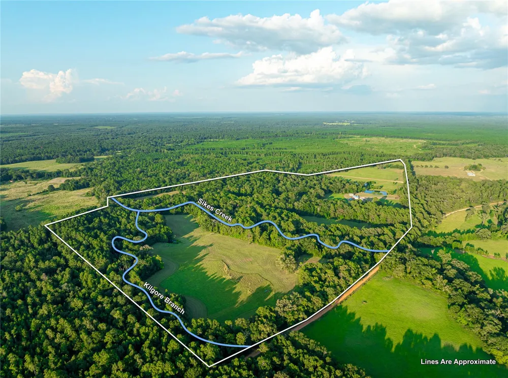 5819 County Road 1170 Kennard, TX 75925