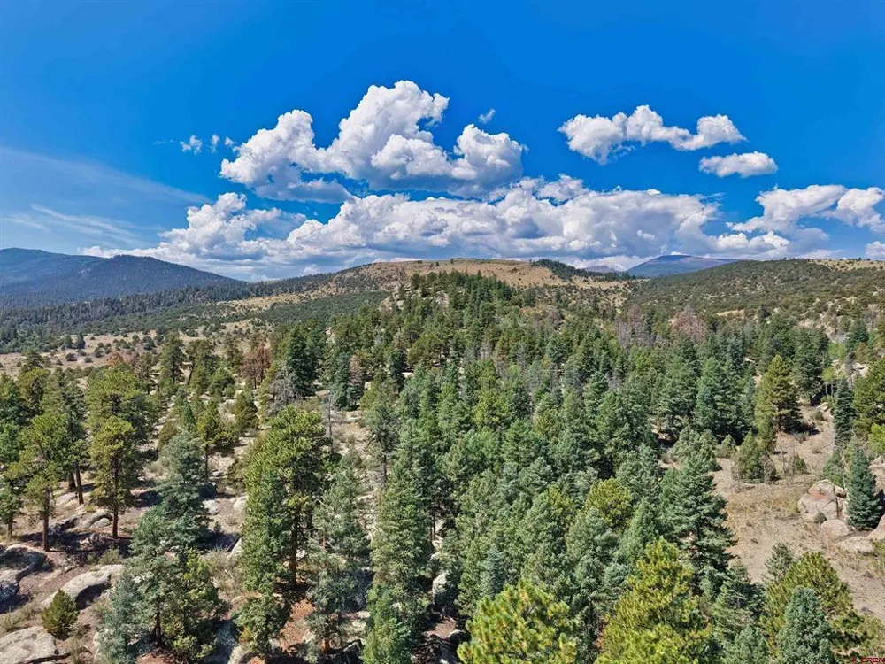 County Road 28 Monte Vista, CO 81144