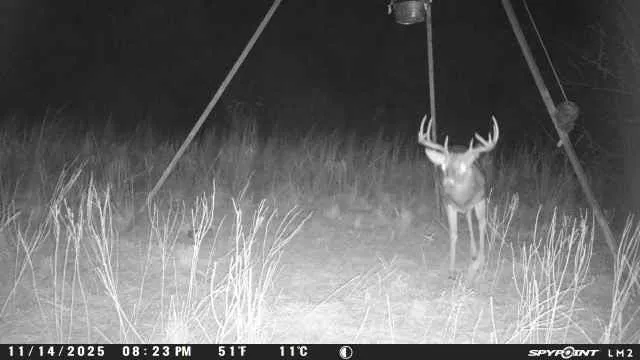 Lcr 258 Mexia, TX 76667