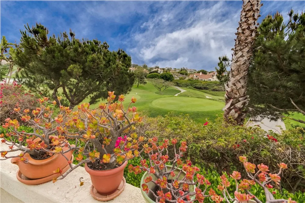106 Tennis Villas Drive Dana Point, CA 92629