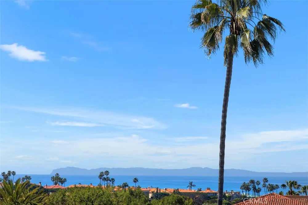 106 Tennis Villas Drive Dana Point, CA 92629