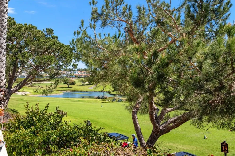 106 Tennis Villas Drive Dana Point, CA 92629