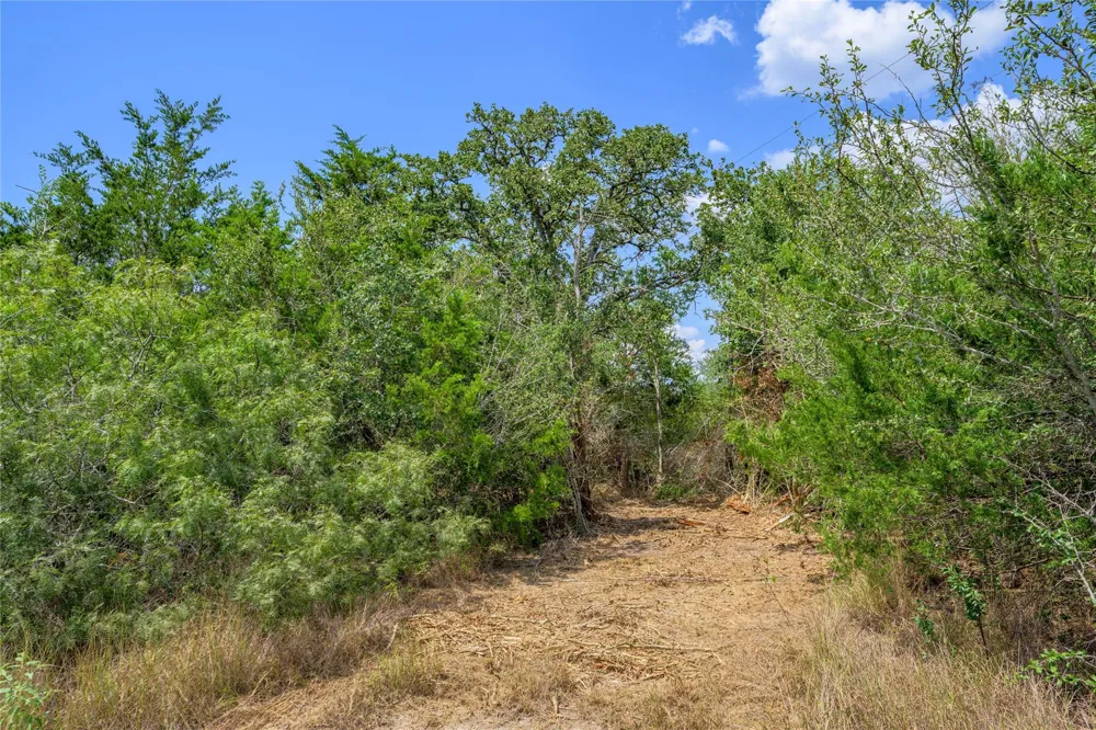 10842 Rauch Road La Grange, TX 78946