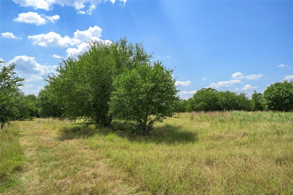10842 Rauch Road La Grange, TX 78946