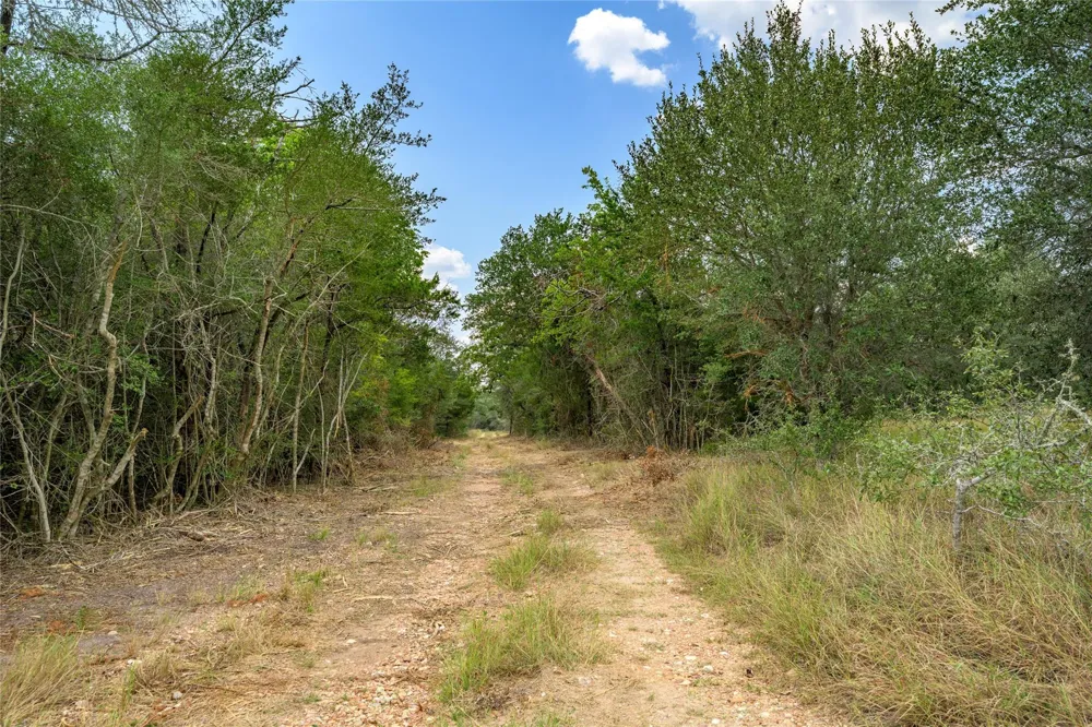 10842 Rauch Road La Grange, TX 78946