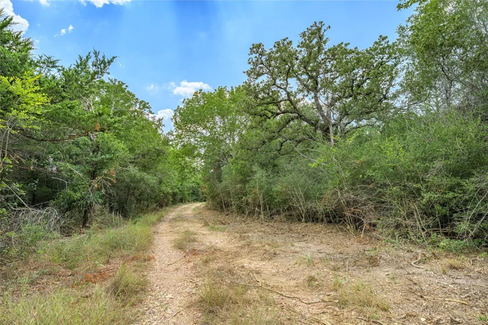 10842 Rauch Road La Grange, TX 78946
