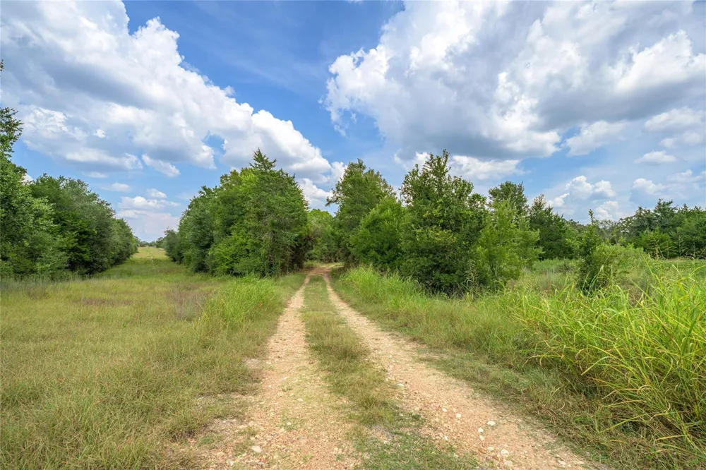 10842 Rauch Road La Grange, TX 78946