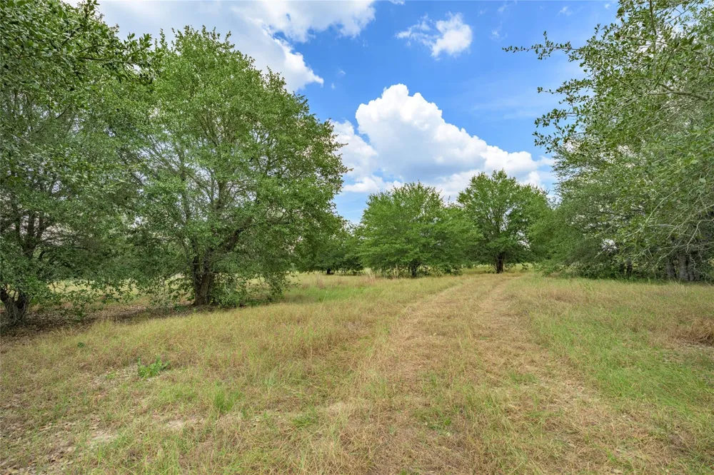 10842 Rauch Road La Grange, TX 78946