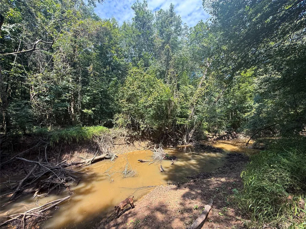 County Road 4111 Timpson, TX 75975