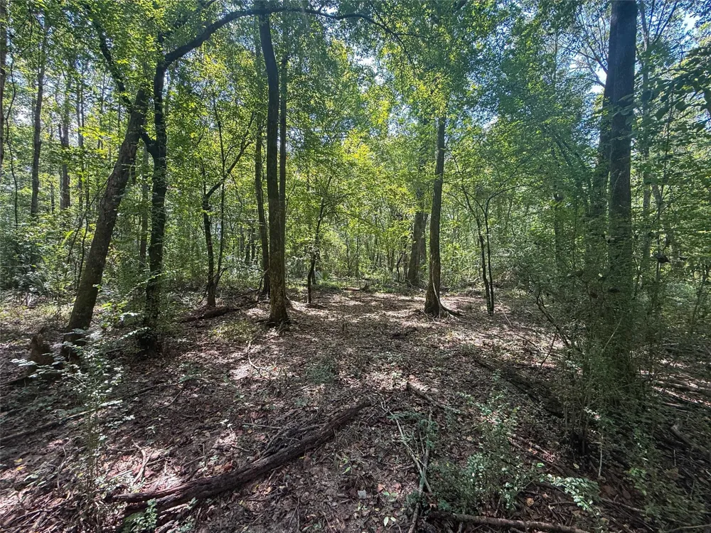 County Road 4111 Timpson, TX 75975