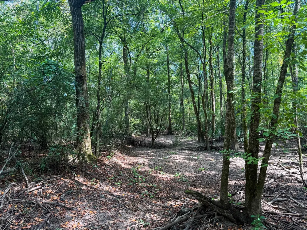 County Road 4111 Timpson, TX 75975