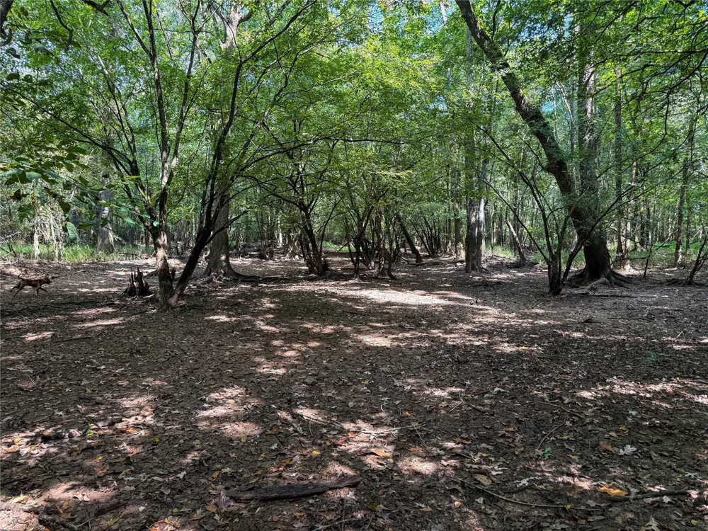 County Road 4111 Timpson, TX 75975