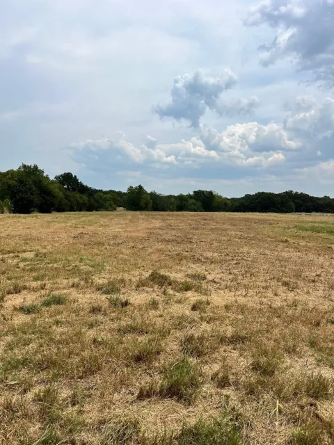 1 County Road 2610