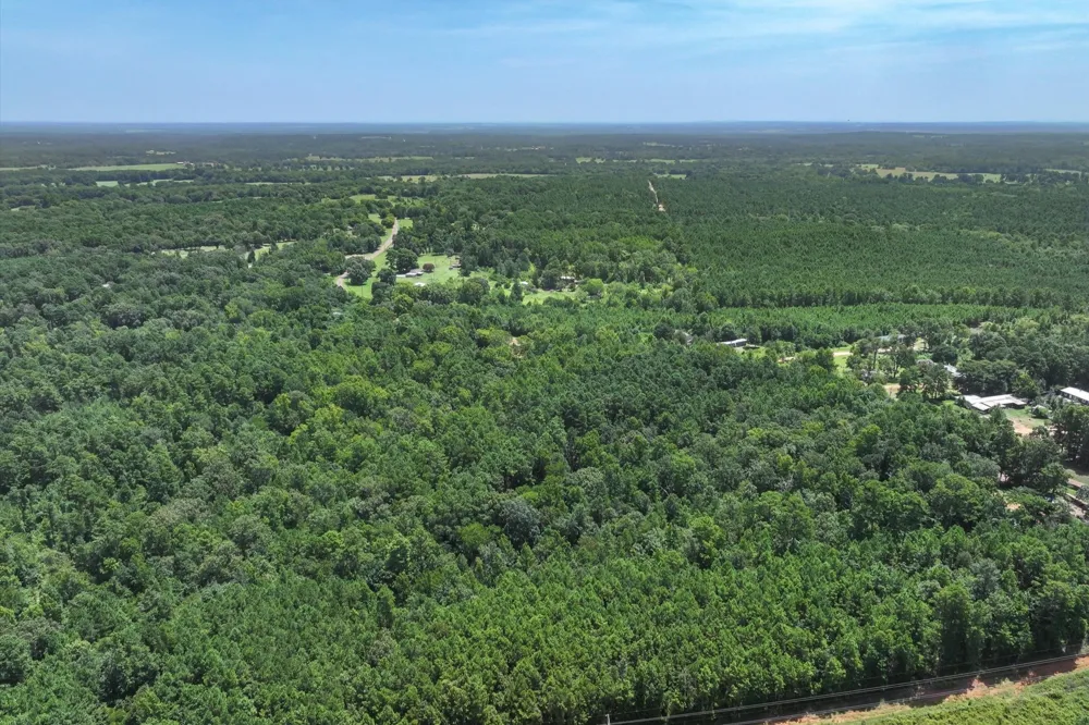 County Road 4102 Jacksonville, TX 75766