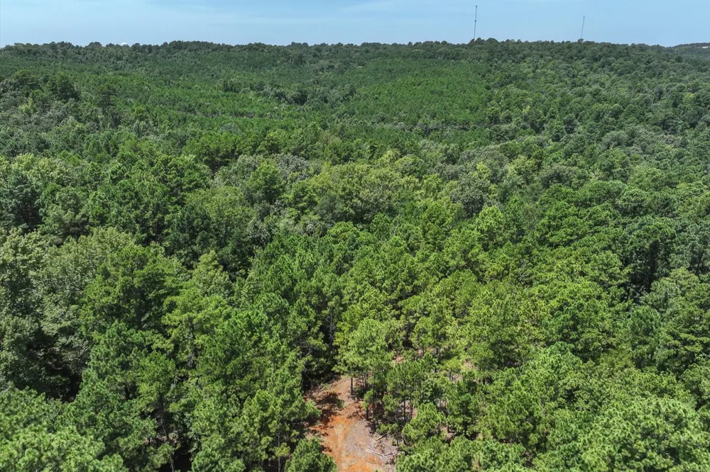 County Road 4102 Jacksonville, TX 75766
