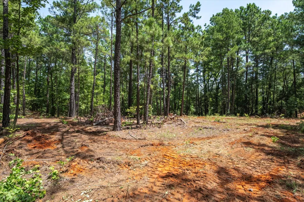 County Road 4102 Jacksonville, TX 75766