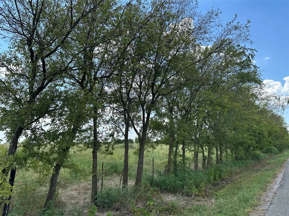 Rutledge Road Whitewright, TX 75491
