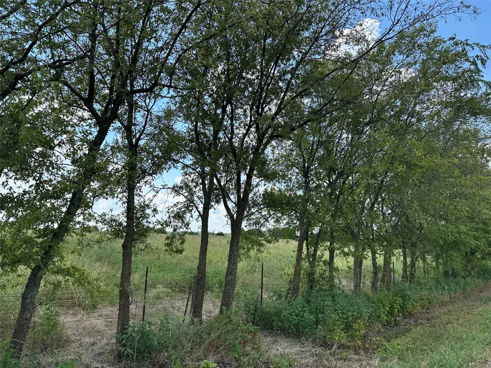 Rutledge Road Whitewright, TX 75491
