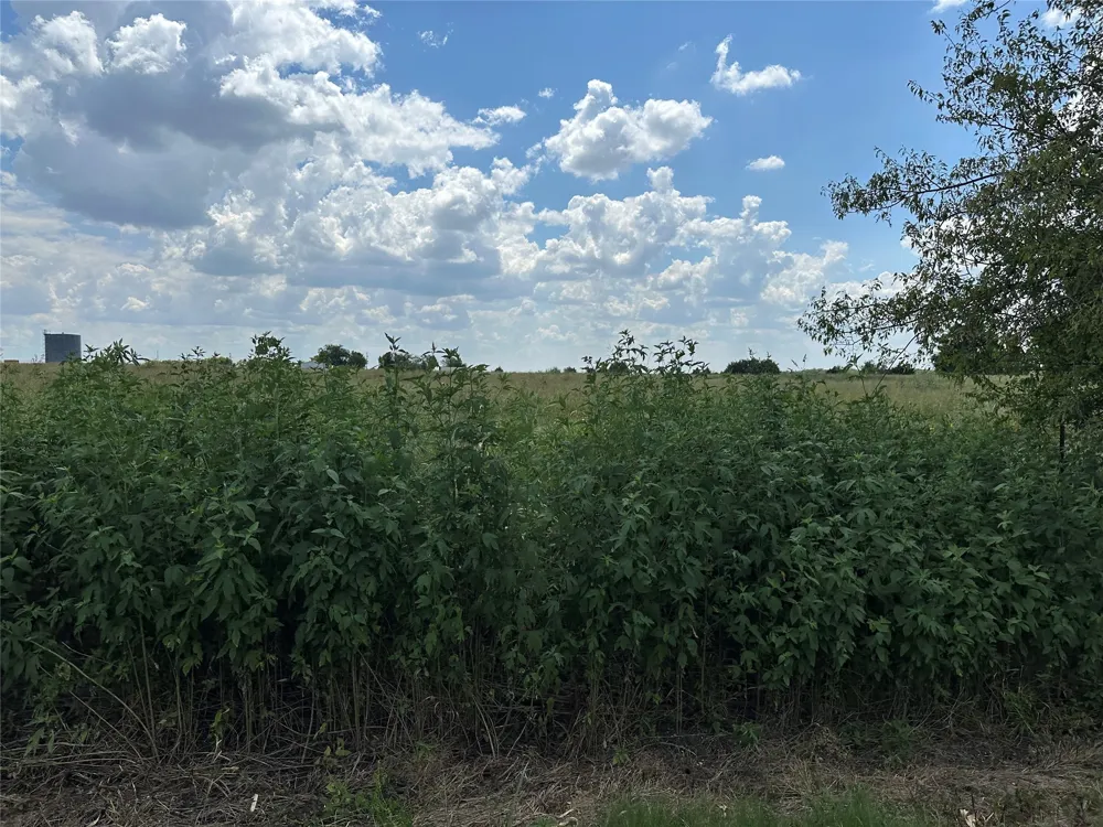 Rutledge Road Whitewright, TX 75491
