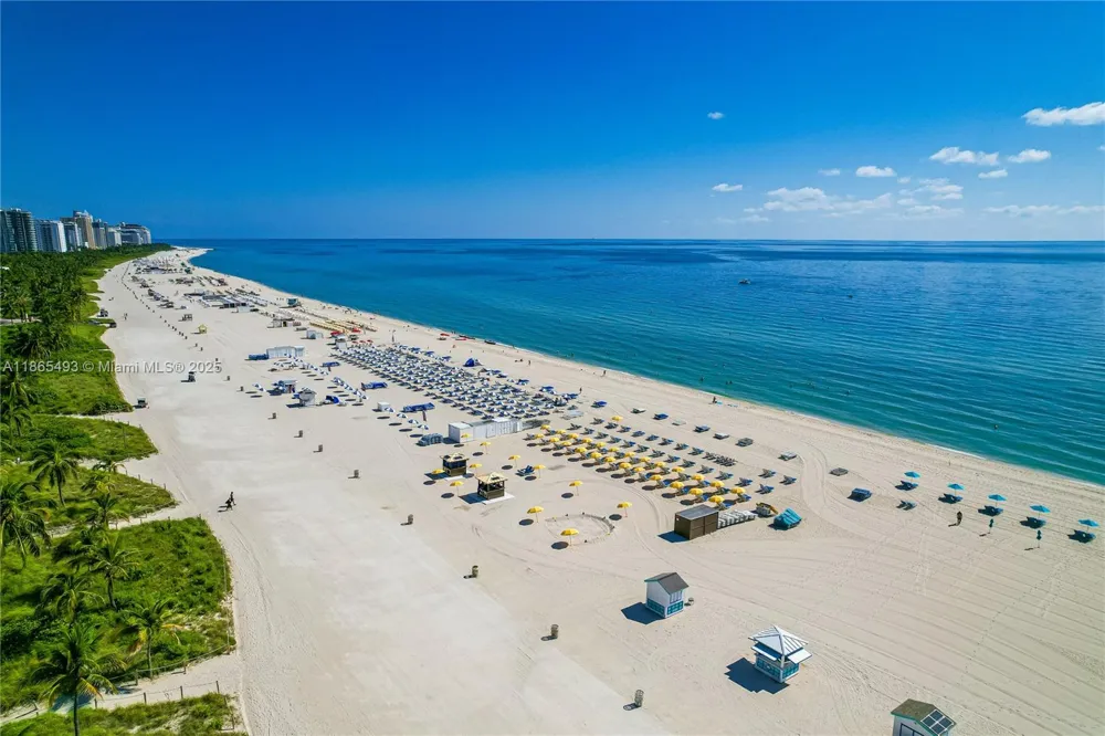 1500 Ocean Drive #1003 Miami Beach, FL 33139