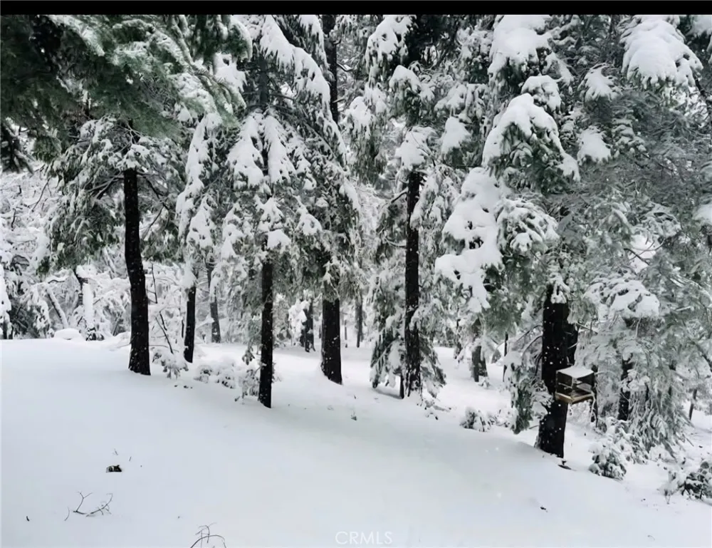 628 Rose Lane Twin Peaks, CA 92391