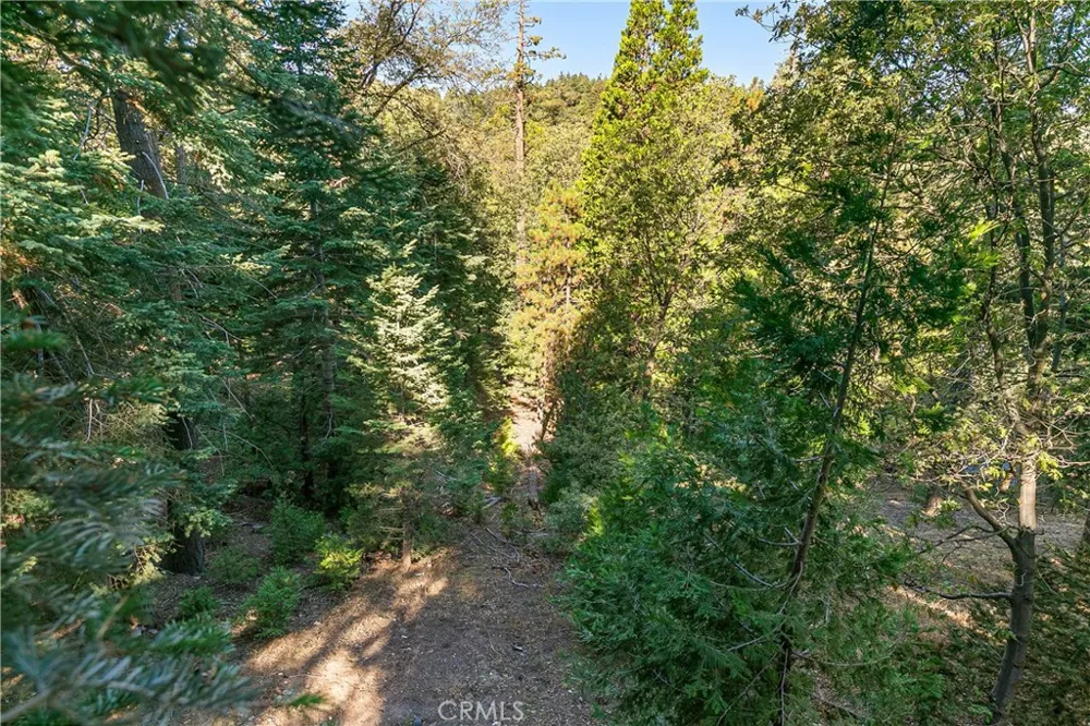 628 Rose Lane Twin Peaks, CA 92391