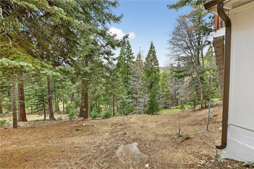 628 Rose Lane Twin Peaks, CA 92391