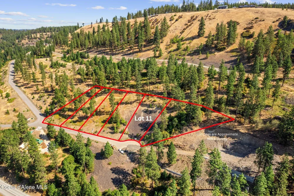 NNA S DUSK CT (LOT 11) Harrison, ID 83833