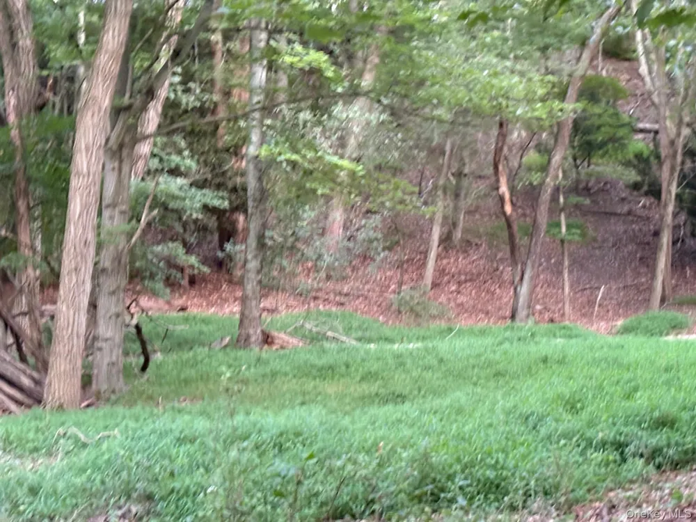Dark Hollow Road Port Jefferson, NY 11777