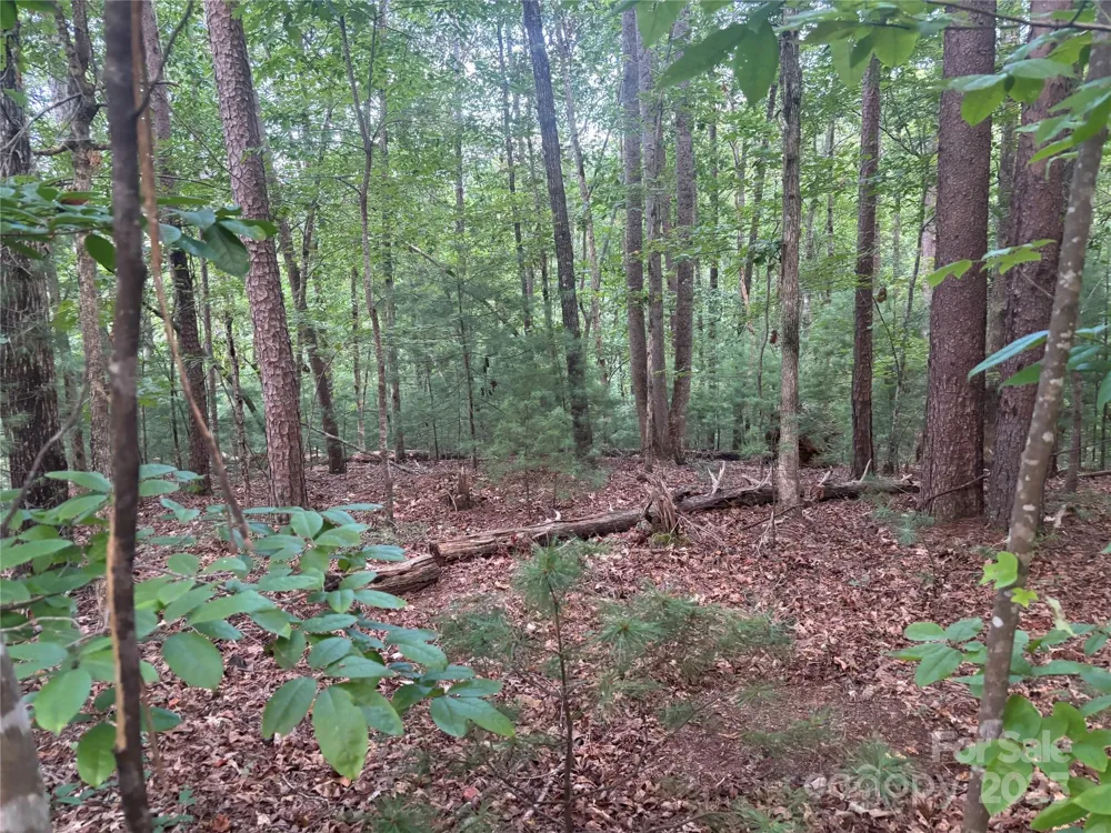 lots 11/12 South Pointe Road Mill Spring, NC 28756